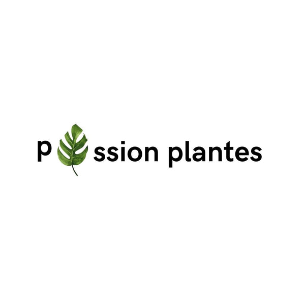 Passion Plantes